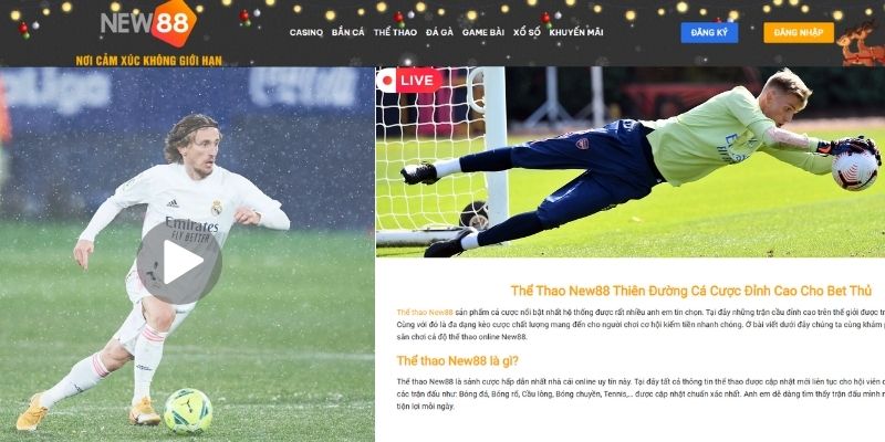 Cá Độ Bóng Đá New88 - Thiên Đường Siêu Đỉnh Cho Đam Mê